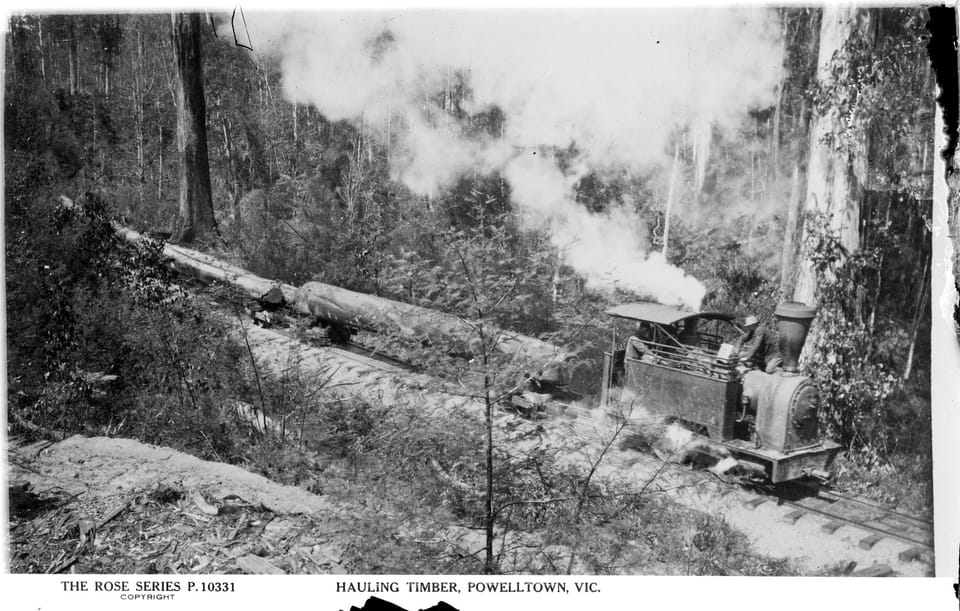 Photo of a small train hauling wagons with large logs on them through the forest in Powelltown from a Rose Series black and white postacard.